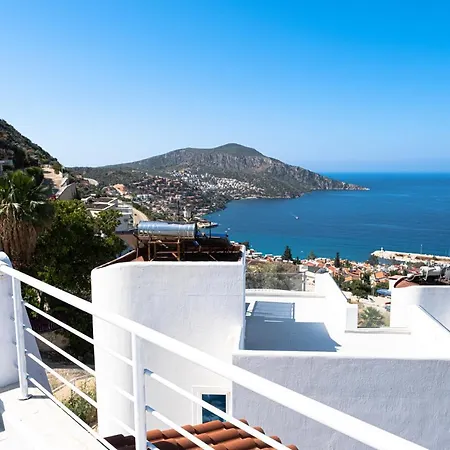 Ayseguel Willa Kalkan